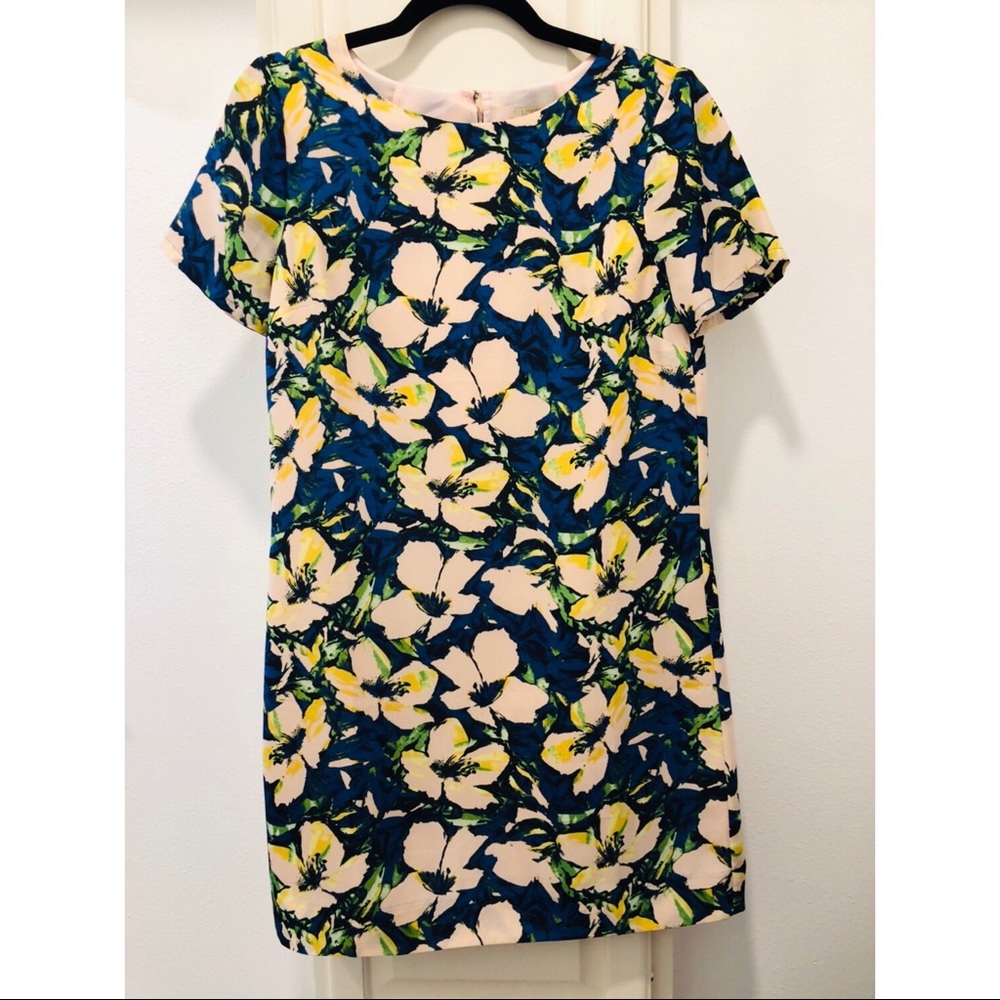 NEVERWORN fun, floral Jcrew Dress